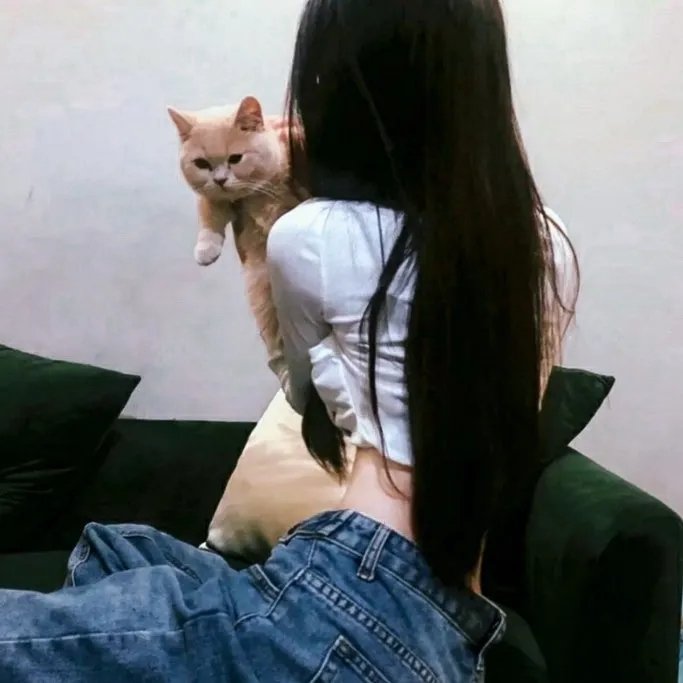 狐门秘事第二季